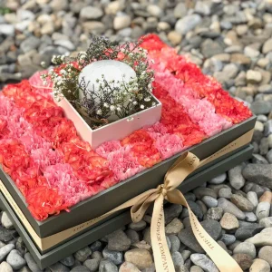 Celebration - Classic Grande