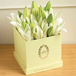 Lilies – Classic Cubo