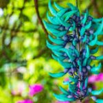 Rare and Exotic Flowers You Probably Haven’t Heard Of