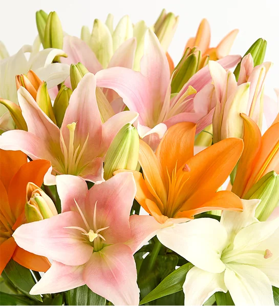 Vibrant Summer Lily Bouquet