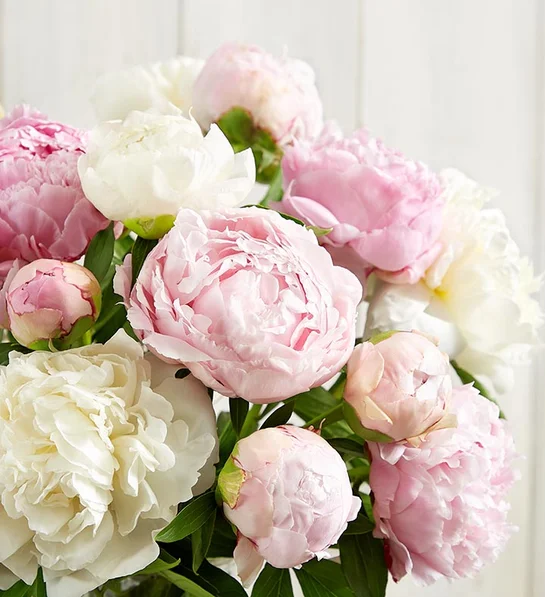 Pink & White Peony Bouquet - Image 3